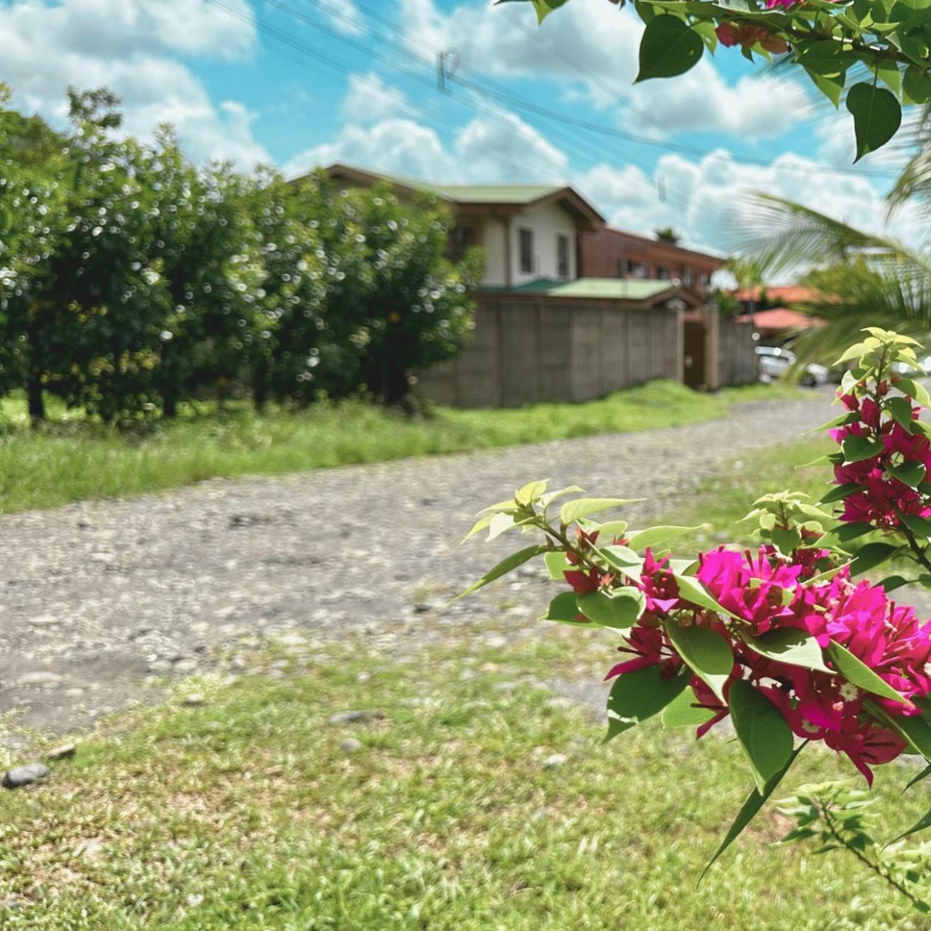 Cabanas Litos #1 La Fortuna 외부 사진